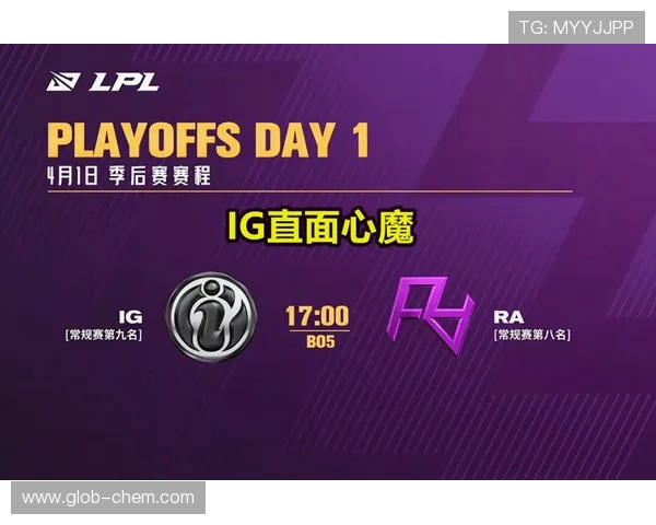 赛后分析：WE与JDG对决中的战术较量与团队协作探讨